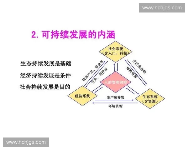 围绕底线耐力构建组织稳健与长期可持续发展的关键策略系统研究 围绕底线耐力构建组织稳健与长期可持续发展的关键策略系统研究