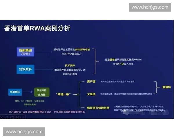 区块链技术在数字资产确权中的应用与发展前景探讨