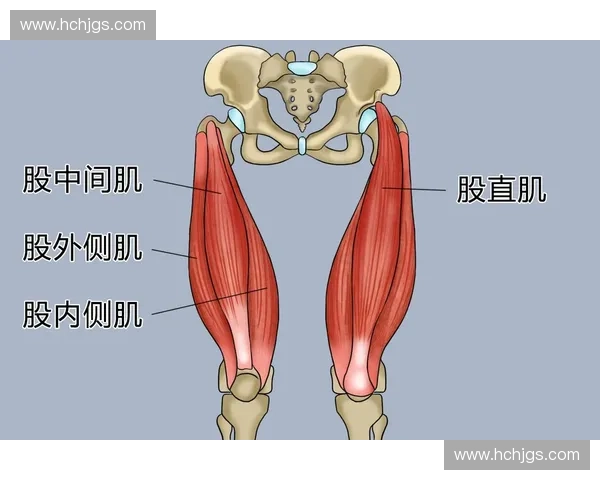 股四头肌紧张引发的运动损伤及康复训练全解析 股四头肌紧张引发的运动损伤及康复训练全解析